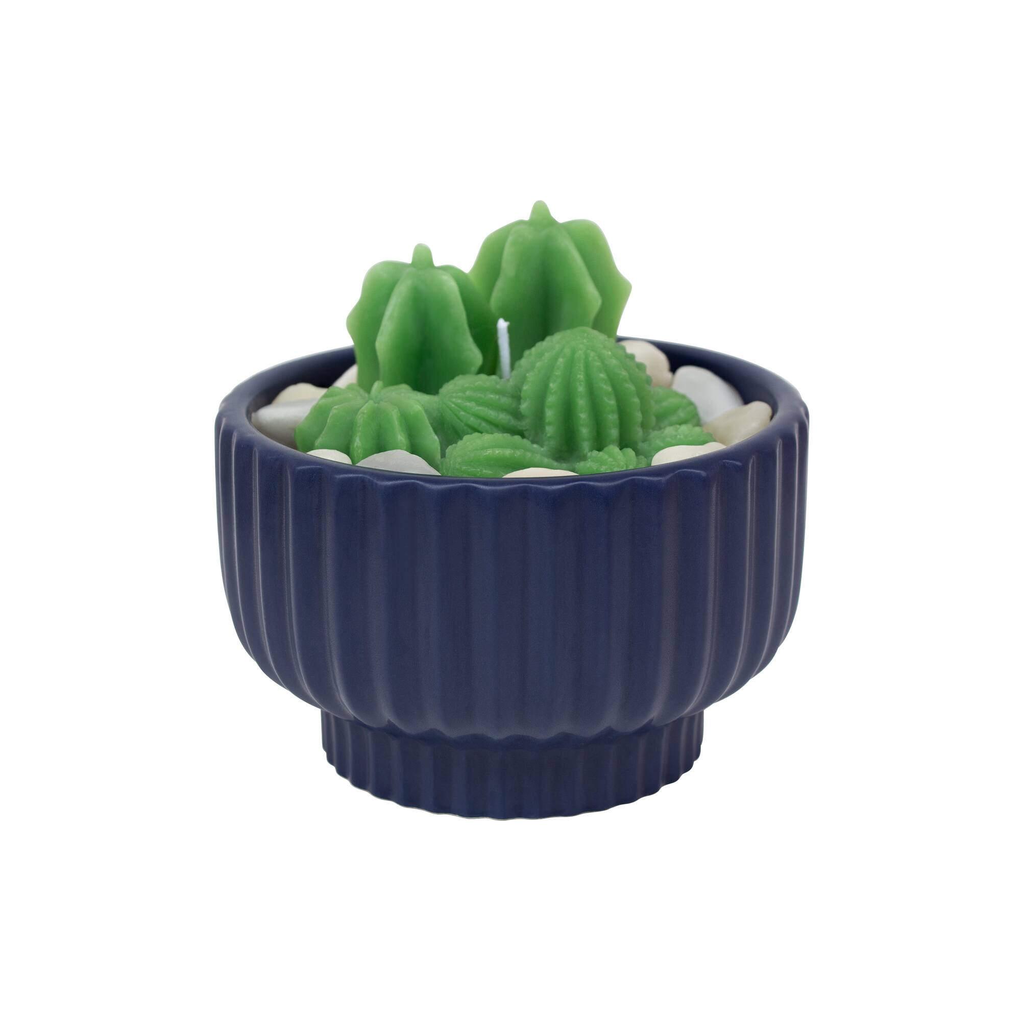 16oz. Navy Potted Succulent Candle by Ashland®